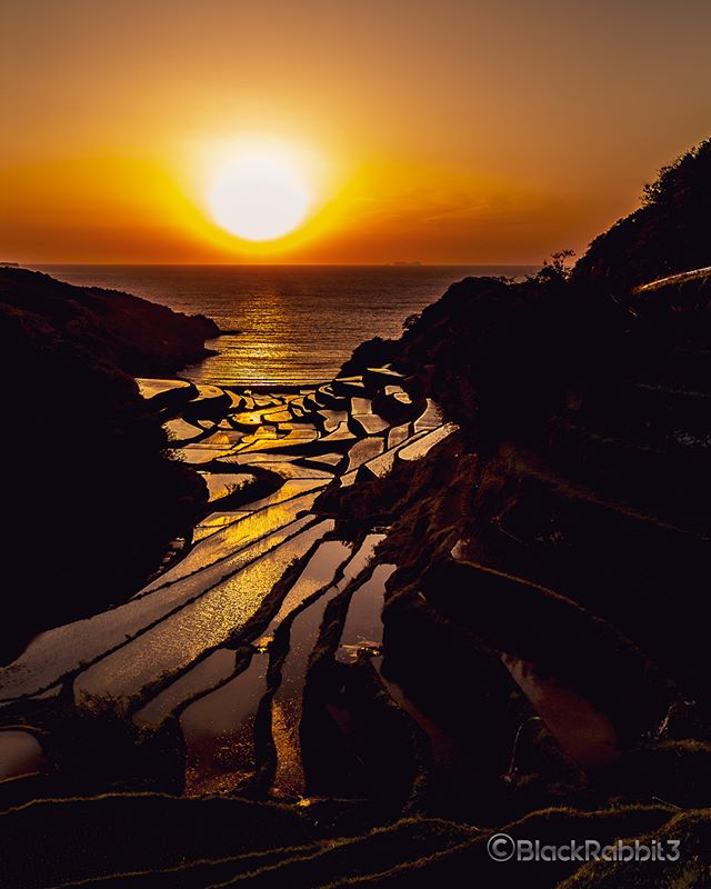 浜野浦の棚田（佐賀県東松浦郡玄海町）