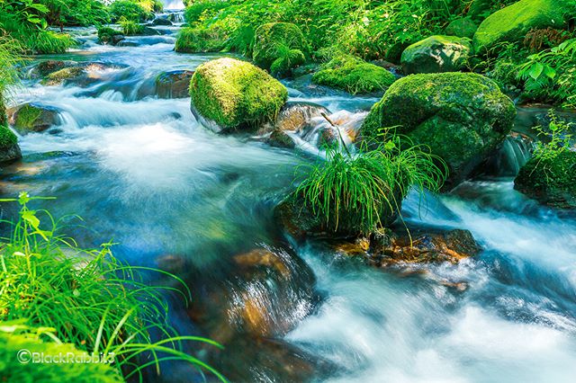 奥大山、木谷沢渓流（きたにざわけいりゅう、鳥取県 日野郡江府町）