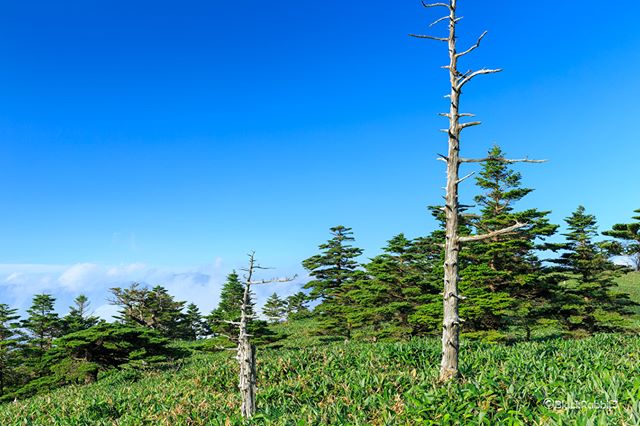 瓶が森（愛媛県西条市、高知県本川村）