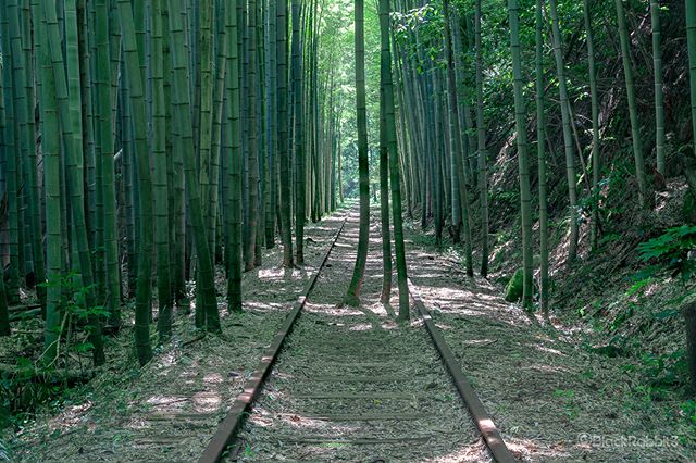 旧国鉄倉吉線 – Time goes by –