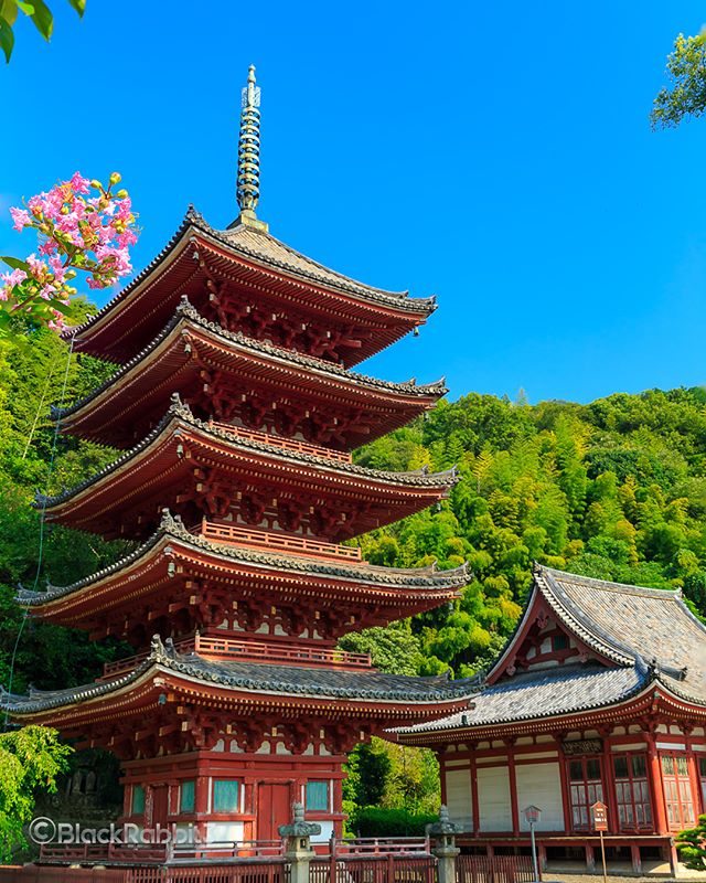 明王院（広島県福山市）