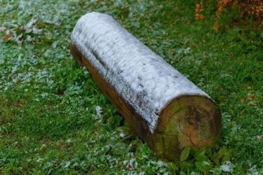 Frozen bench（広島市）