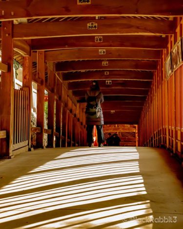 撃ち合い（岡山市、吉備津神社）