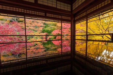 瑠璃光院（京都市左京区上高野）