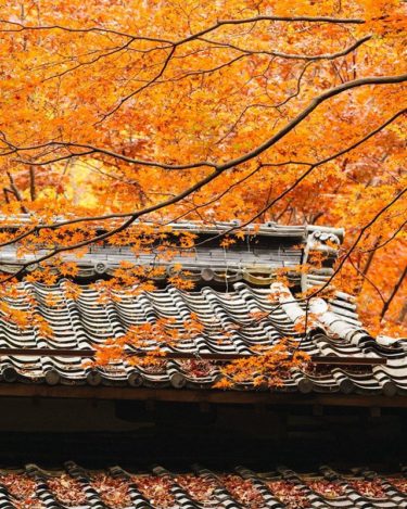 教林坊（滋賀県近江八幡市）