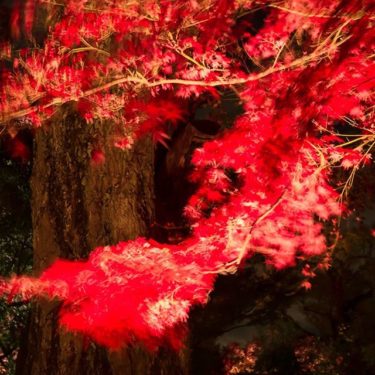 発火（北野天満宮、京都市上京区）