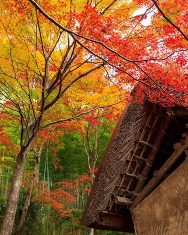 教林坊（滋賀県近江八幡市）