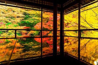 瑠璃光院（京都市左京区上高野）