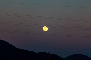 ラ🤣？♪（広島市）