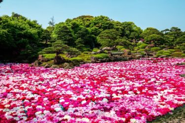 由志園（島根県松江市）